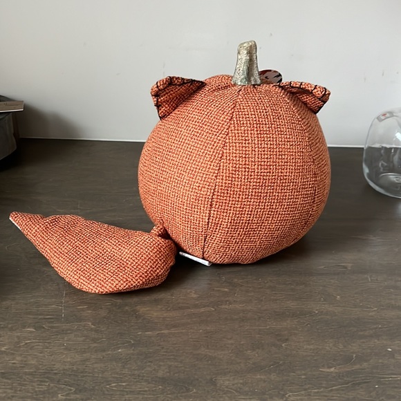 PUMPKIN FOX - Picture 5 of 7